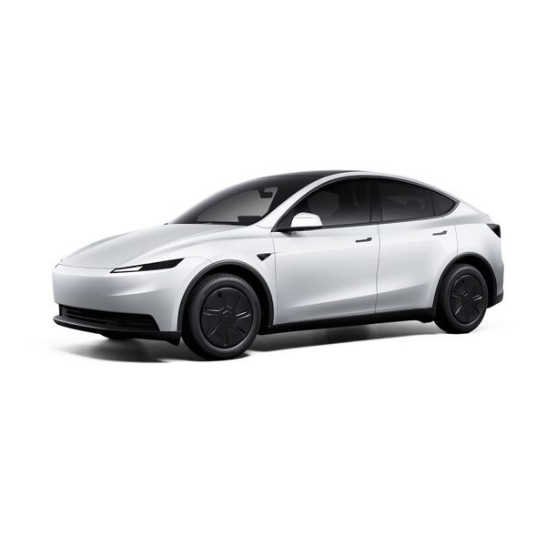 Model Y Standard