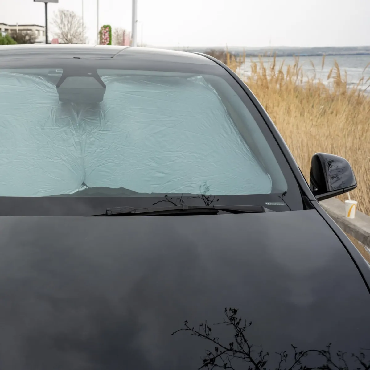 Sun protection for Tesla